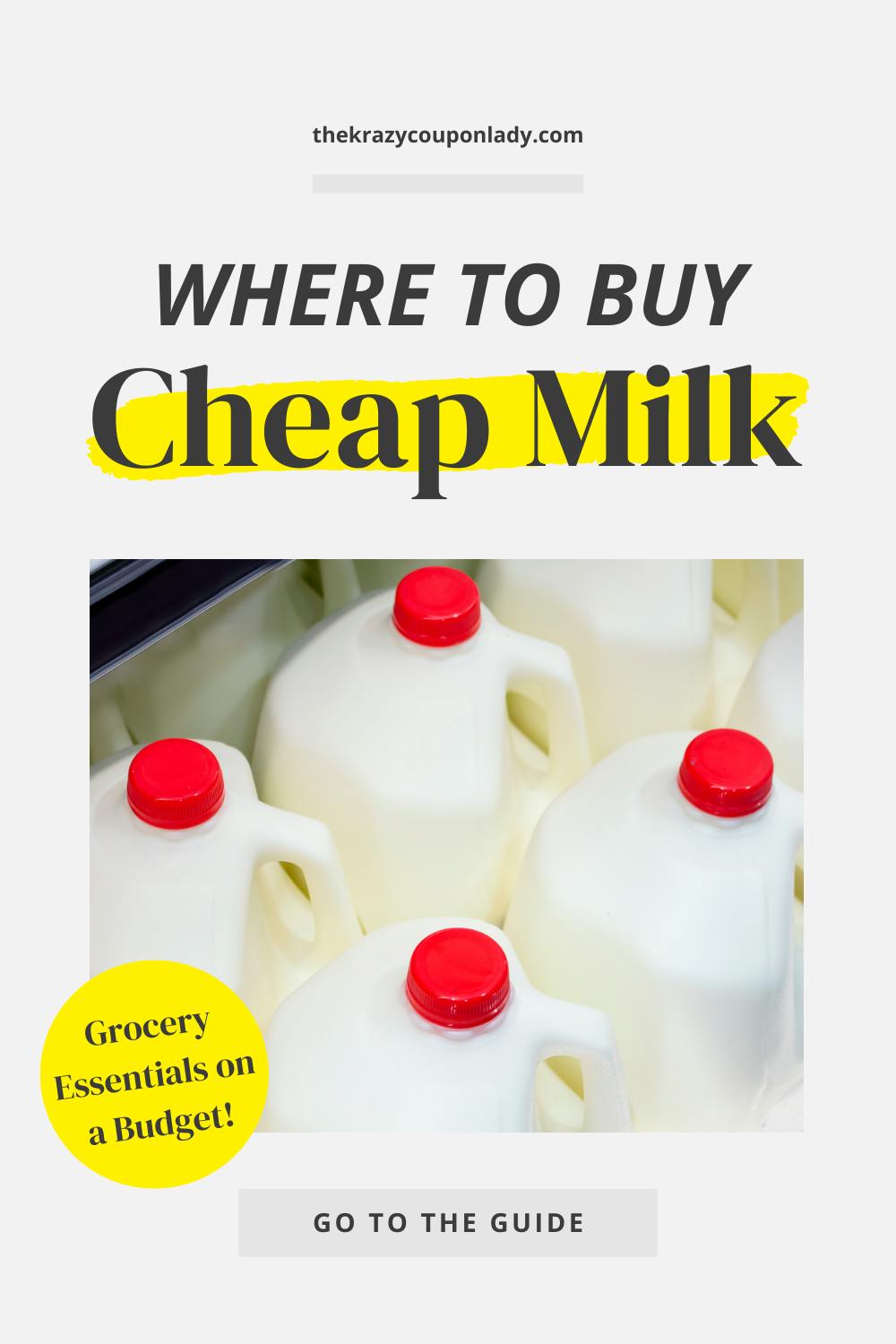 Grocery Essentials on a Budget — Where to Buy Cheap Milk?
