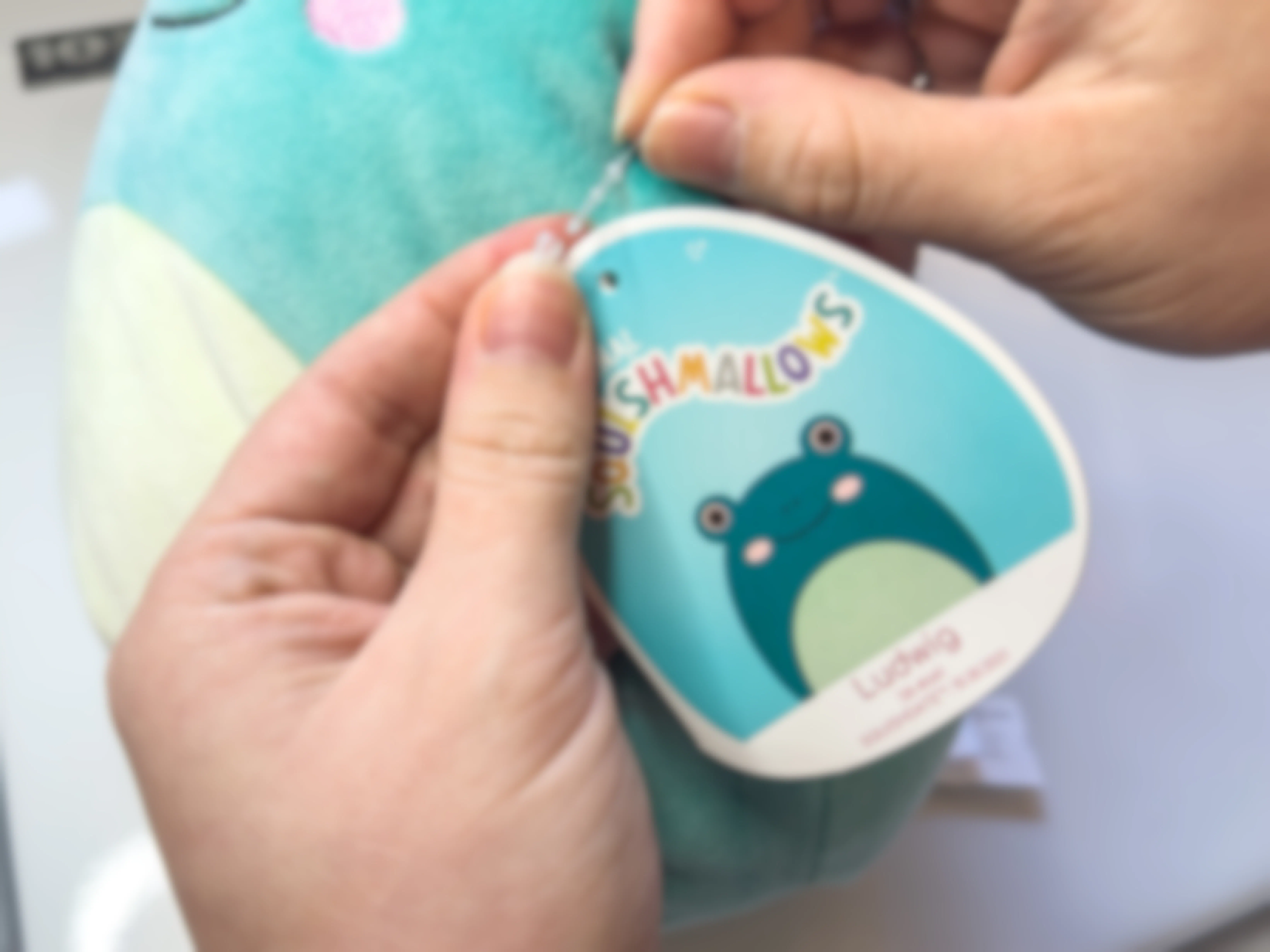 Someone taking the tag off of a Squishmallow