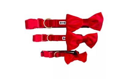 Bow Tie Collar