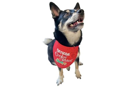Pet Bandana