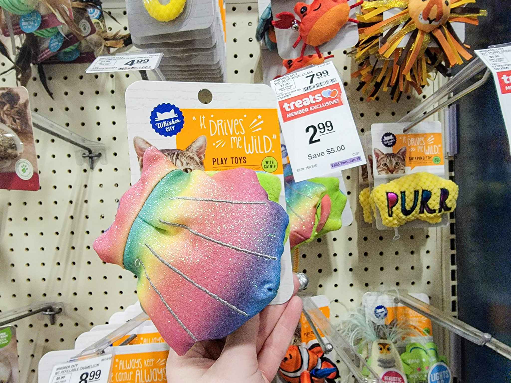 cat toy