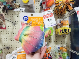 cat toy
