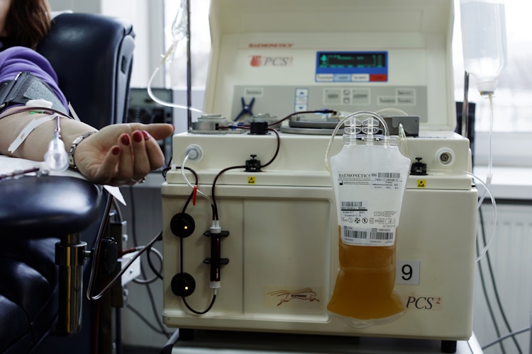 Person donating blood