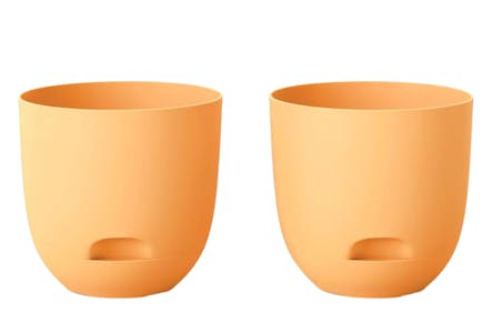 2-Pack Planters