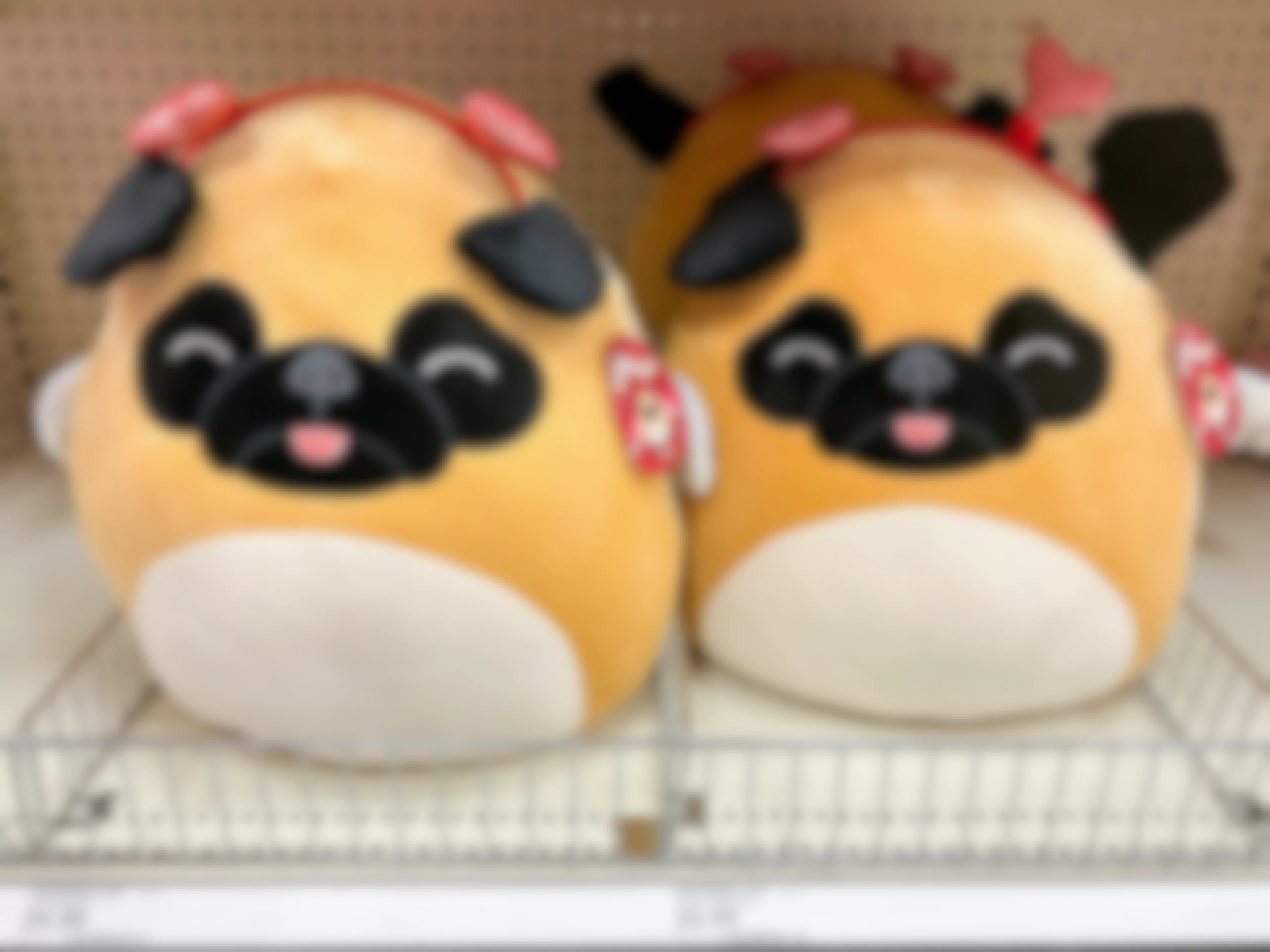 Some Pam the Pug Valentine's Squishmallows in Target