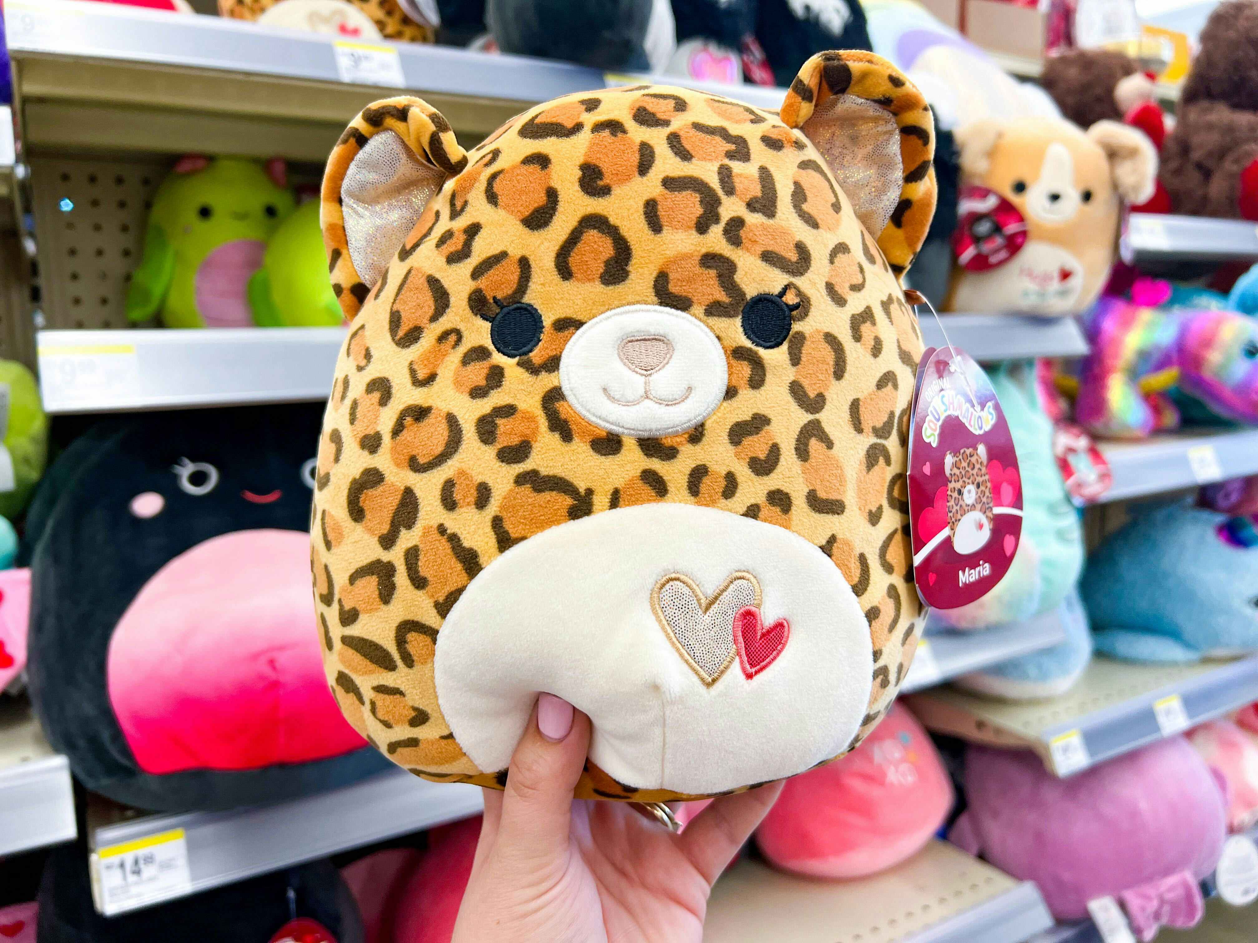 Someone holding up a Maria Valentine's Day Squishmallow in Walgreens