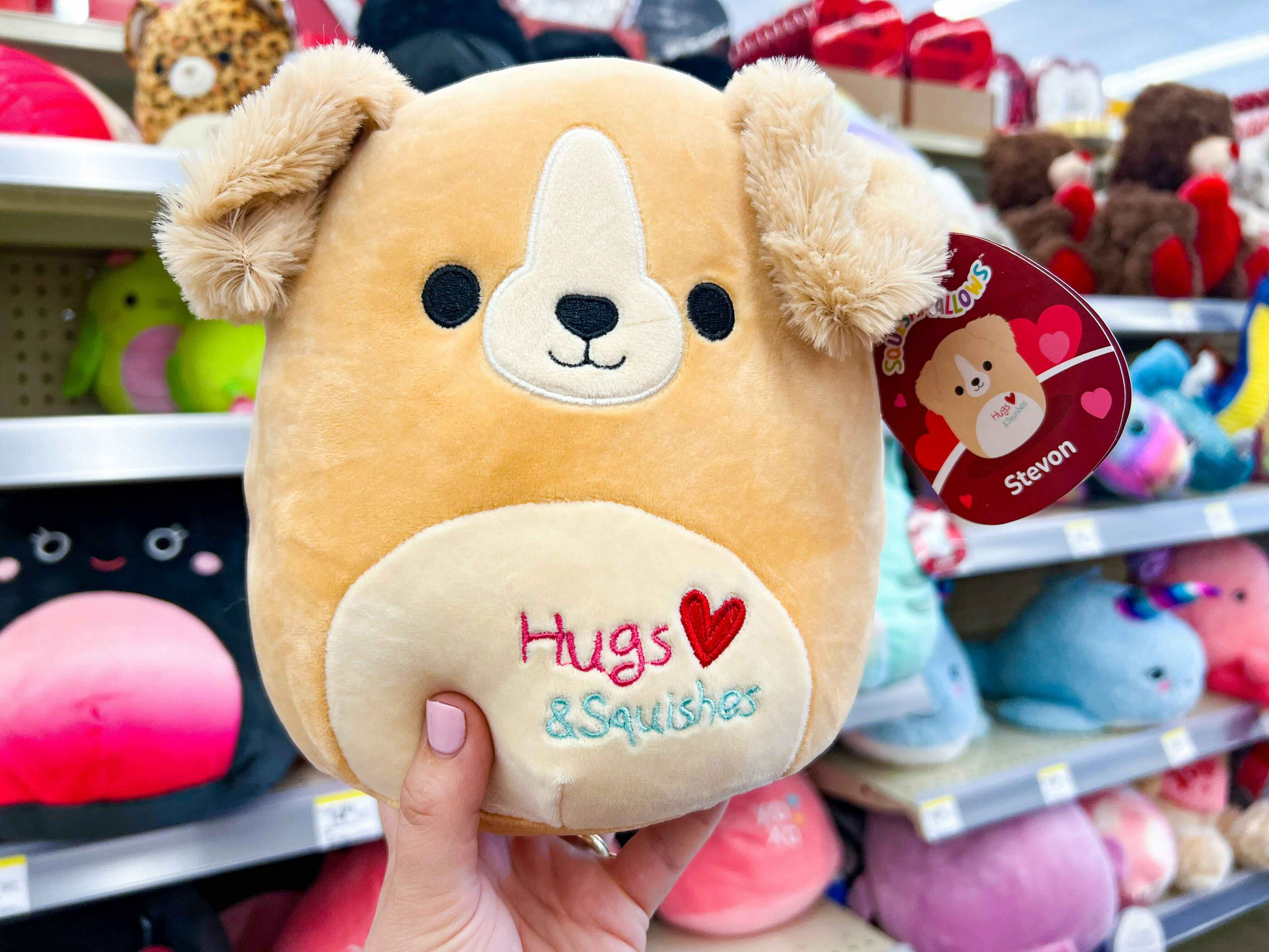 Someone holding up a Stevon Valentine's Day Squishmallow in Walgreens