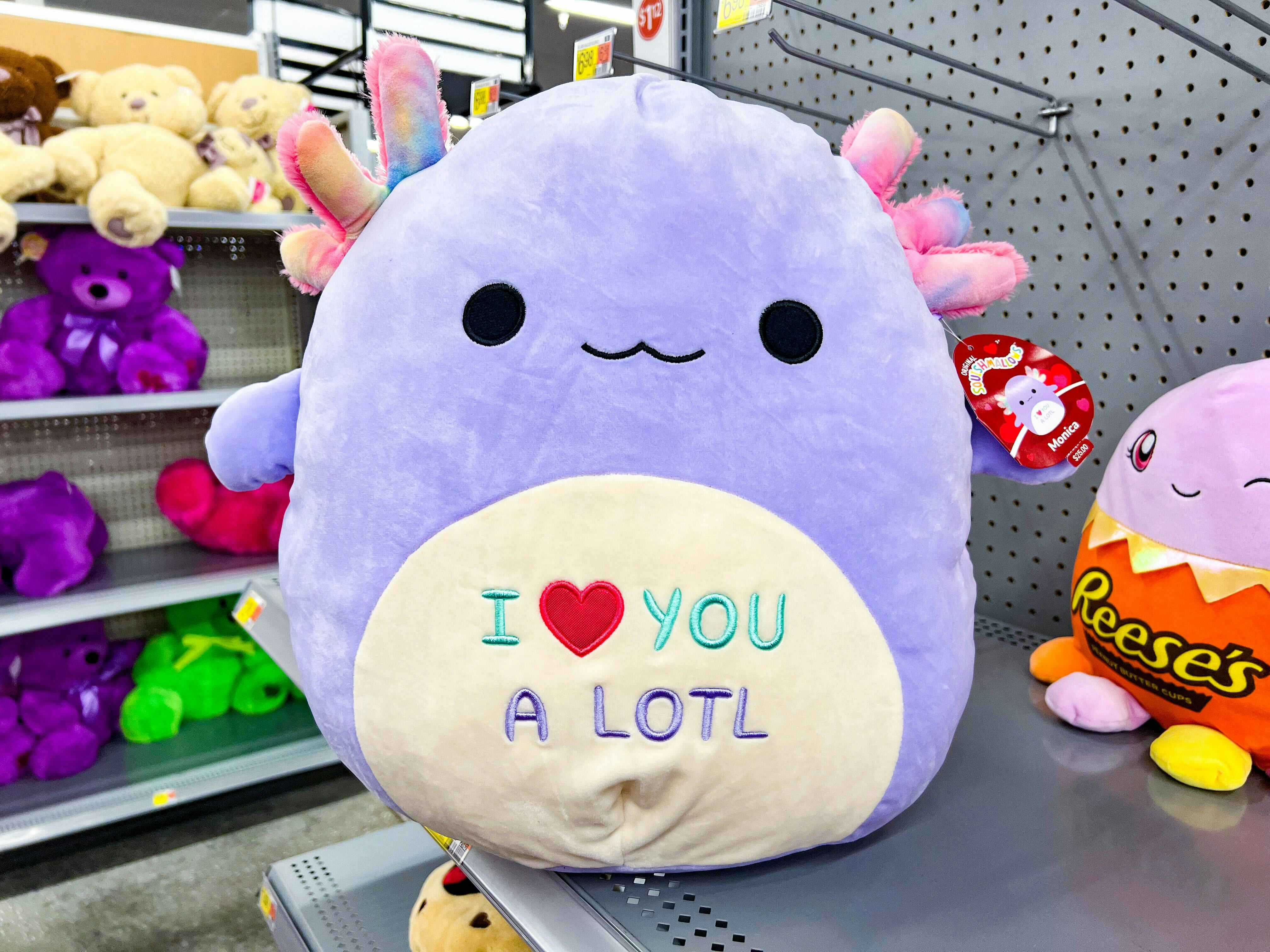 A Valentine's Day Monica Axolotl Squishmallow that says "I love you a lotl" on the tummy