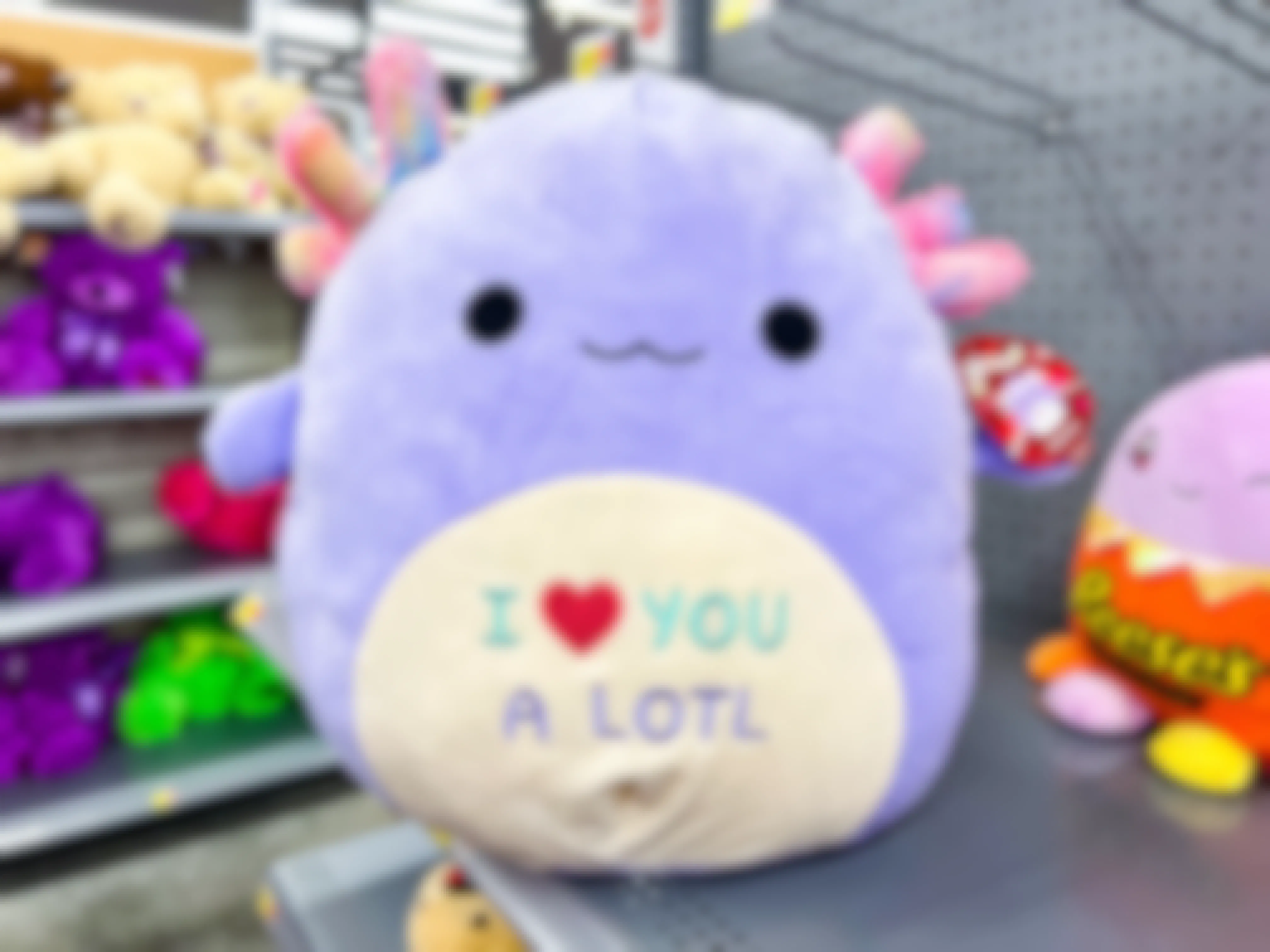 A Valentine's Day Monica Axolotl Squishmallow that says "I love you a lotl" on the tummy