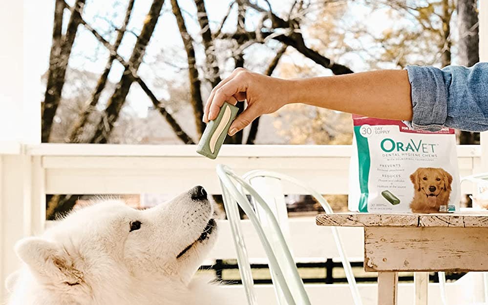 are oravet chews safe for dogs