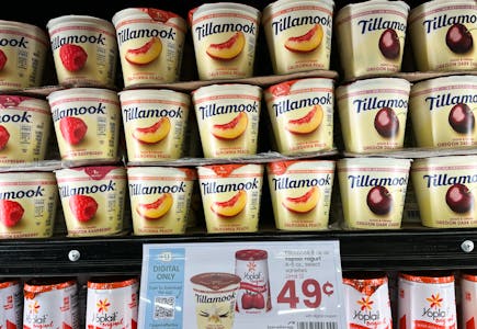 Tillamook & Yoplait Individual Yogurts