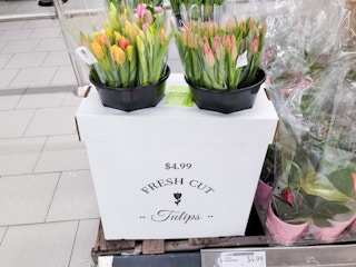 aldi 10 stem tulip bouquet feb 2023 1676284957 1676284957