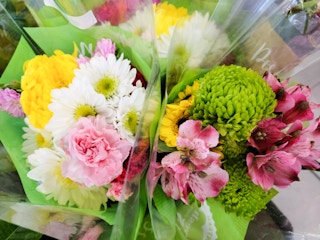 aldi flowers feb 2023 1676287394 1676287395