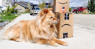 dog lying next to amazon boxes on sidewalk