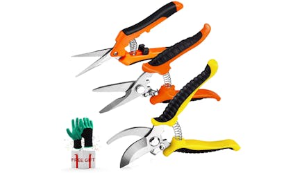 3 Pruning Shears