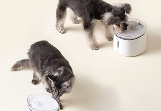 amazon homerunpet fountain 2023 1 1676730738 1676730738