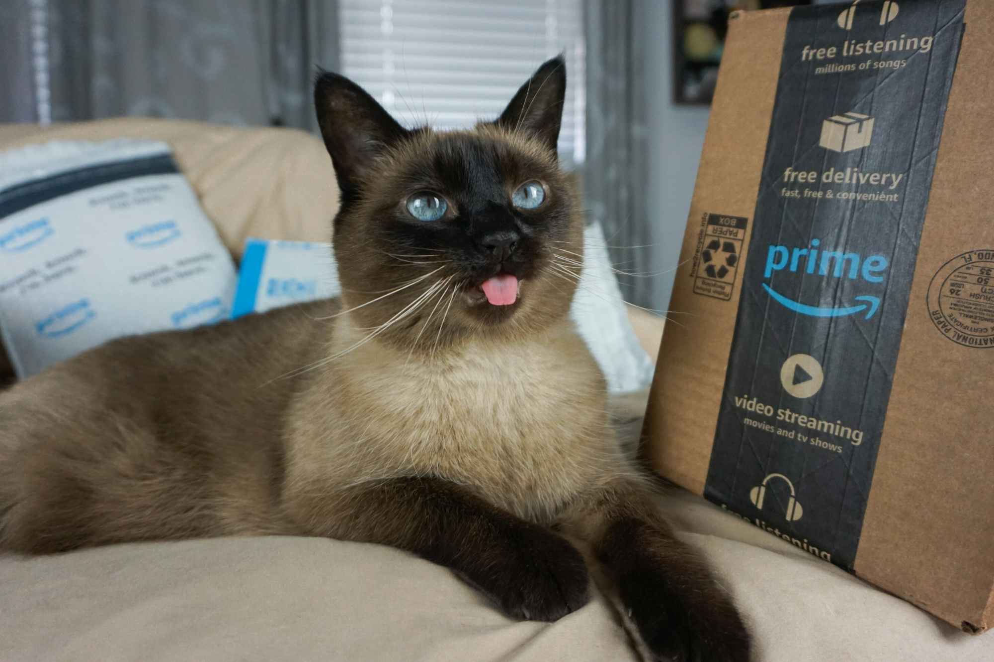 A cat with bright blue eyes sticking out her tongue and laying on a bed with some Amazon packages