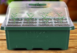 amazon seed grower 2023 2 1677097369 1677097369