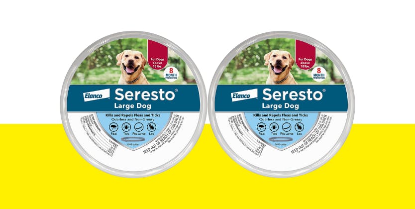 opvoeder scheerapparaat Walging Affordable Flea & Tick Prevention: 2 Seresto Collars for $45 on Amazon -  The Krazy Coupon Lady