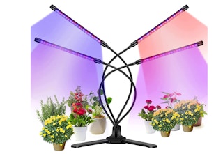 amazon snapfresh grow lights 2023 1 1676395338 1676395338