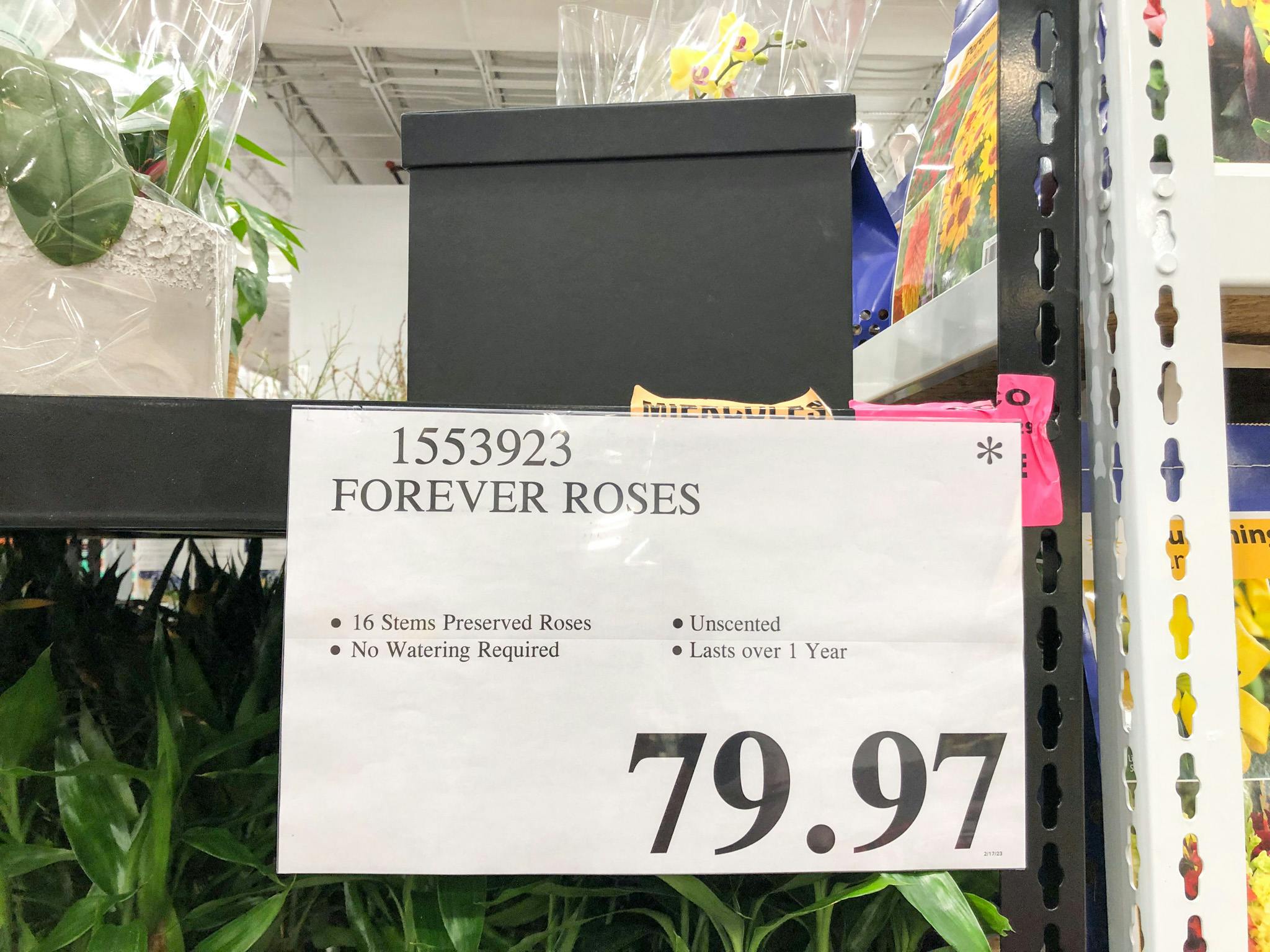 clearance sign for 79.97 forever roses