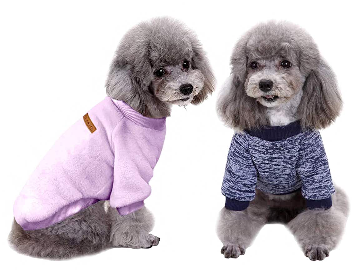 small dogs in pink and blue marled sweaters