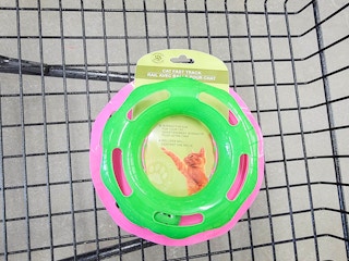 cat toy