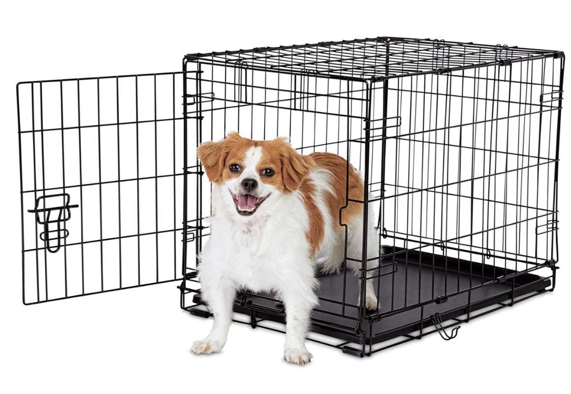 Petco Outdoor Dog Kennel atelieryuwa.ciao.jp