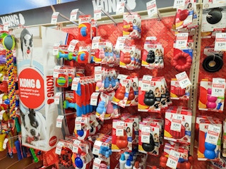 kong dog toys