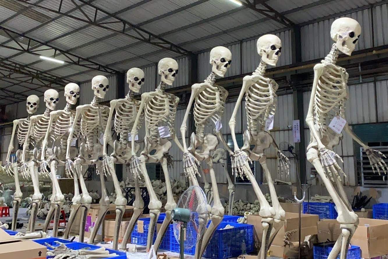 Some giant Home Depot skeletons standing in a line