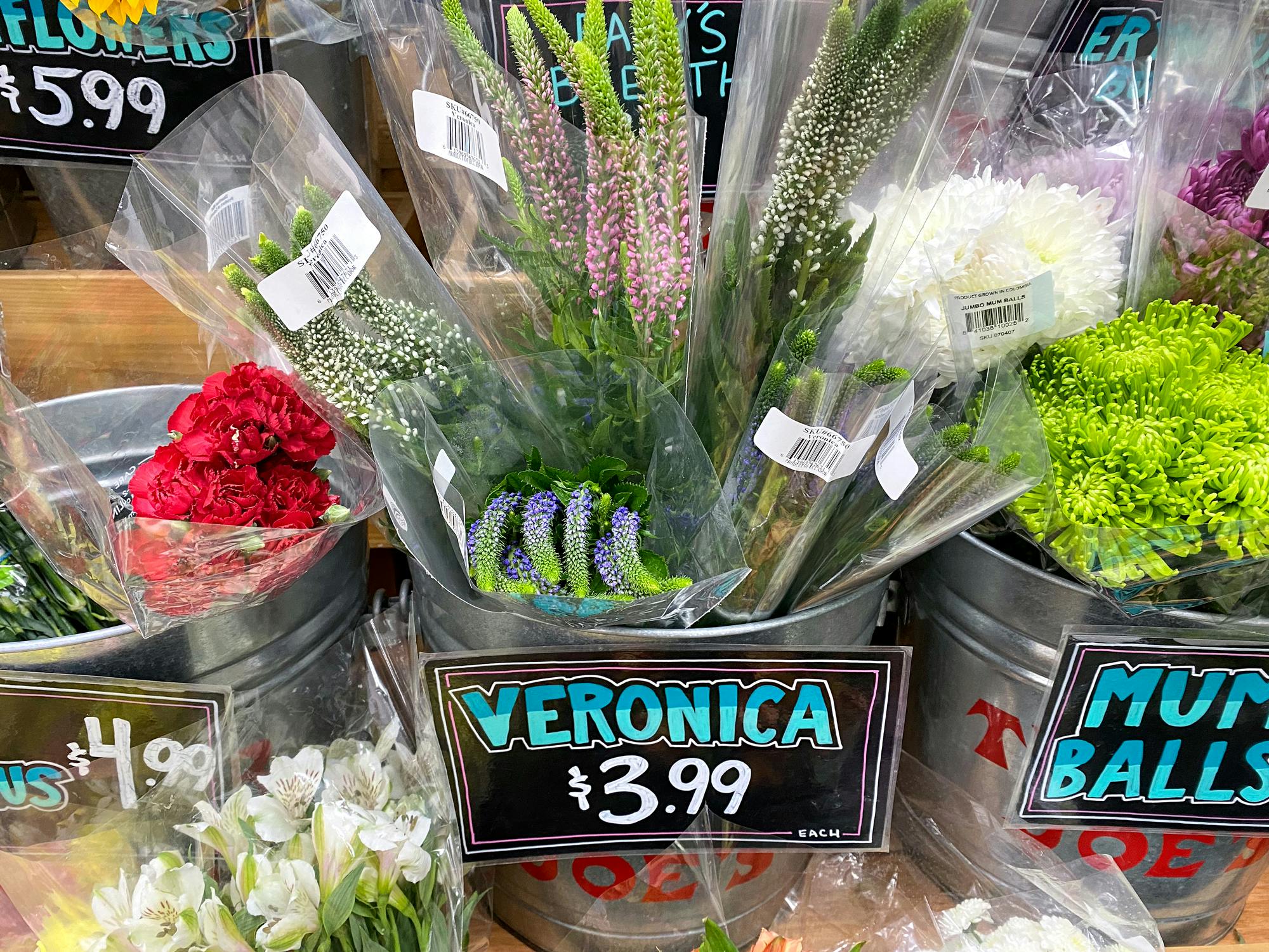 veronica stems in bucket at trader joes