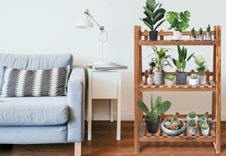 walmart 3 tier plant stand 2023 01 1675607498 1675607498