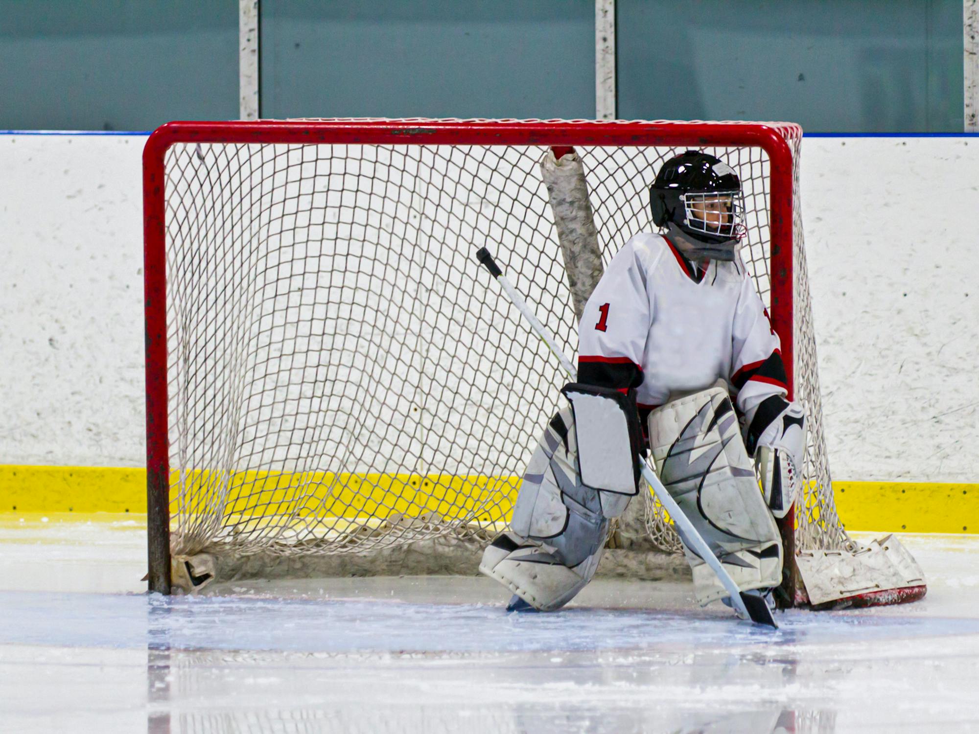 a young hockey goalie playing in net