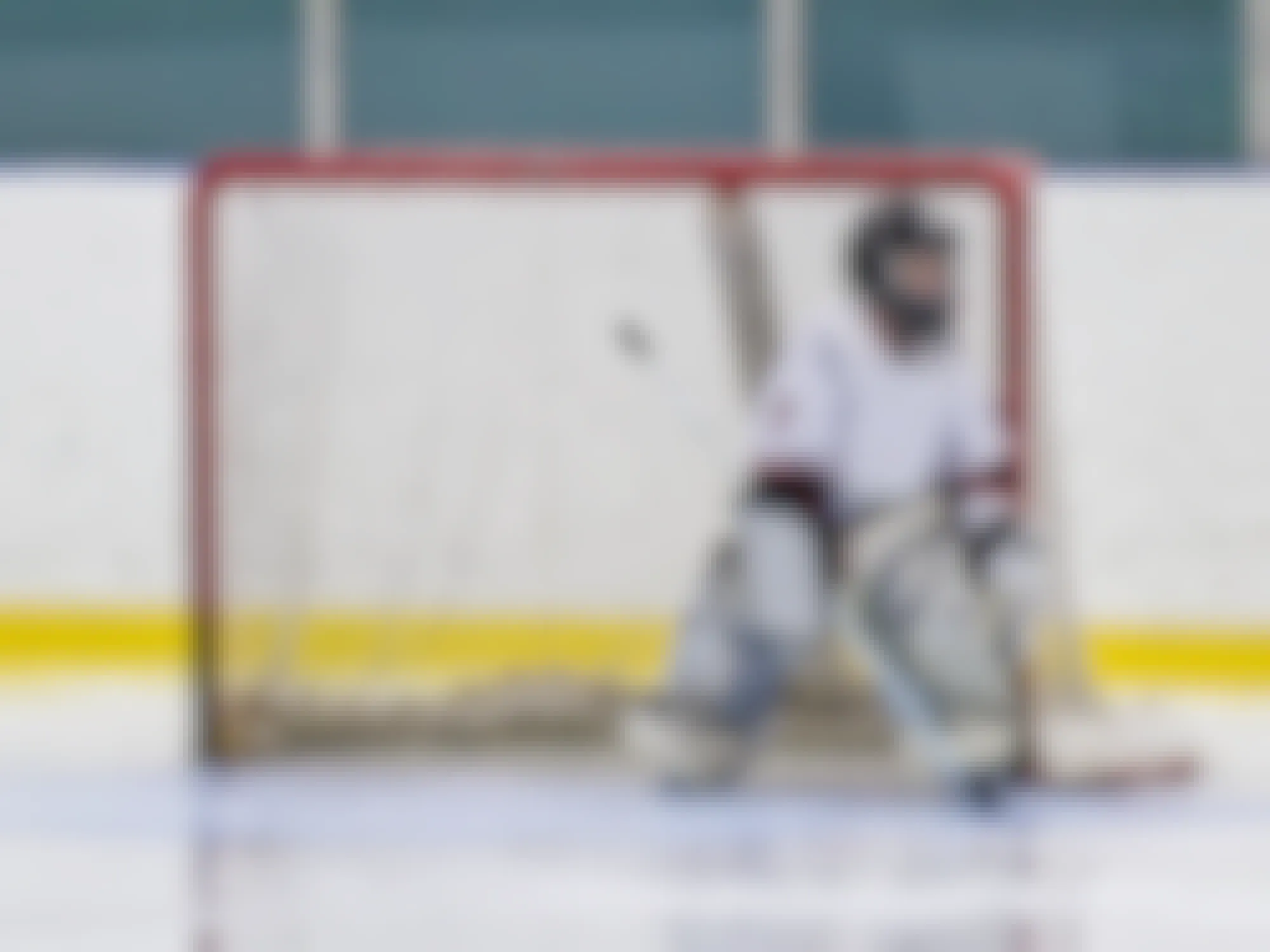 a young hockey goalie playing in net