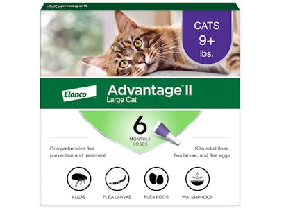 2 6-Month Supply Advantage II Large Cat Flea Treatment