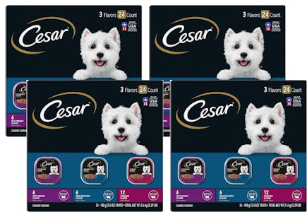4 Cesar Variety Wet Dog Food (96 Packs Total)