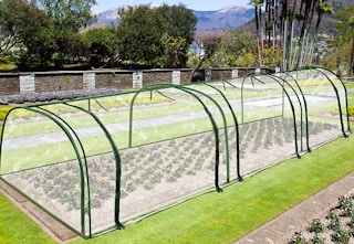 amazon greenhouse 2023 2 1679424137 1679424137