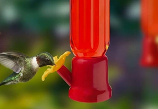amazon hummingbird feeder 2023 2 1679766664 1679766665