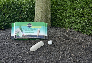 amazon miracle gro spikes df 2023 1 1680016959 1680016959