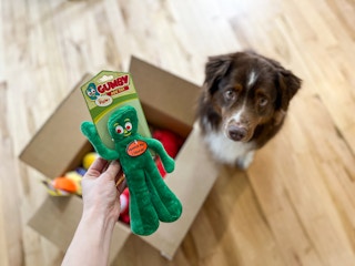 a dog sitting next to a box looking at a toy