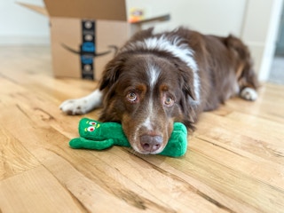 amazon multipet gumby lambchop dog toys 21 1680292473 1680292474 scaled