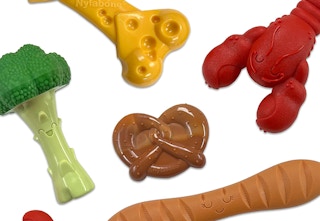 amazon nylabone chew 2023 1 1678970279 1678970279
