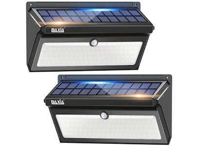 Baxia Technology Solar Lights