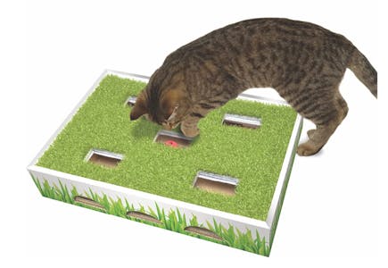 Cat Hunting Box