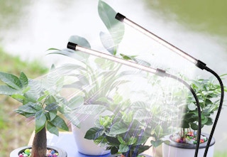 amazon plant light 2023 2 1679681455 1679681455