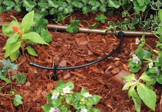 amazon rain bird gardening kit 2023 2 1680277715 1680277715