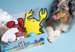 boxdog free saddle bag 32023 a 1678735365 1678735365