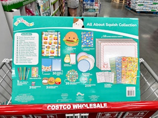 squishmallows activity set