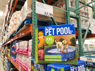 pet pool