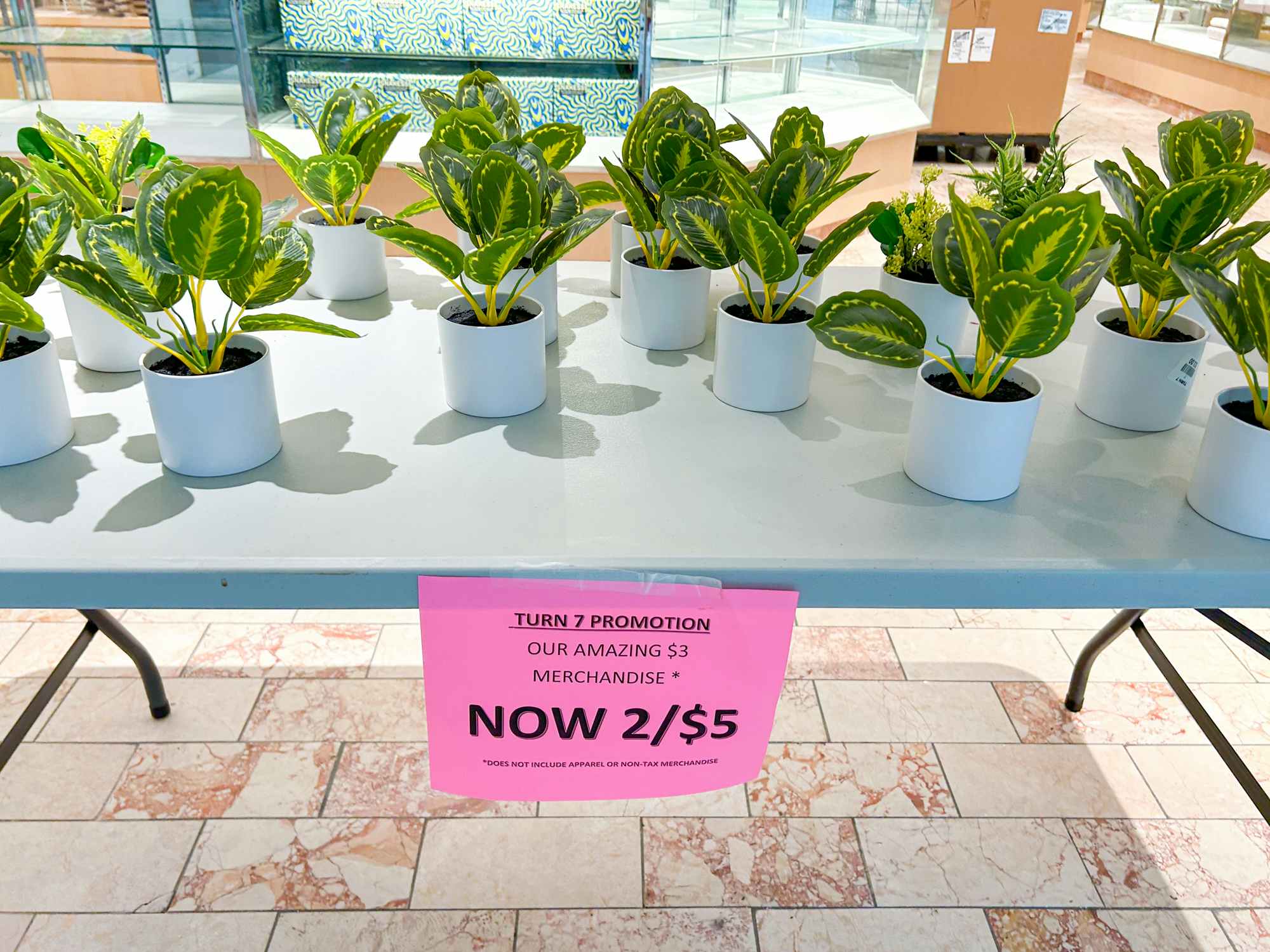 Some plants on a table with a sign that promotes them to be 2 for $5 at Turn7